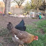 Kleine Fewo, Einstiegspreis! *