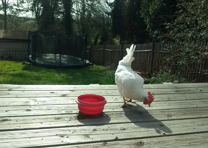Lejlighed Kleine Fewo, Einstiegspreis! Weimar (Thuringia)