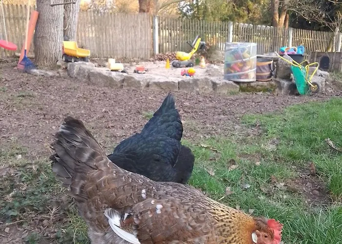 Kleine Fewo, Einstiegspreis! *